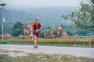 BIB: 
                            <button type="button" onclick="openModal(22303750)" class="btn btn-primary btn-sm float-right btn-popup" data-toggle="modal" data-target=".modal-high-quality">
                        <i class="fas fa-shopping-cart"></i> Add to Cart
                    </button>
                                            <button type="button" onclick="isThisMe(22303750, true)" class="btn btn-success btn-sm float-right btn-popup btn-isme hidden" data-toggle="tooltip" data-placement="bottom" title="นี่คือรูปของคุณใช่ไหม คลิกที่นี่เพื่อเอาเข้าอัลบั้ม">
                        <i class="fas fa-plus"></i> Add to album
                    </button>
                    <button type="button" onclick="isThisMe(22303750, false)" class="btn btn-warning btn-sm float-right btn-popup btn-isnotme hidden">
                        <i class="fas fa-ban"></i> Remove from album
                    </button>